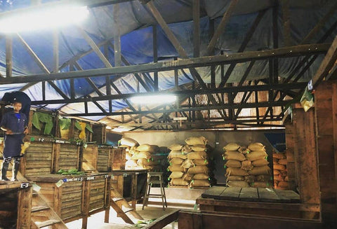 Fermentation